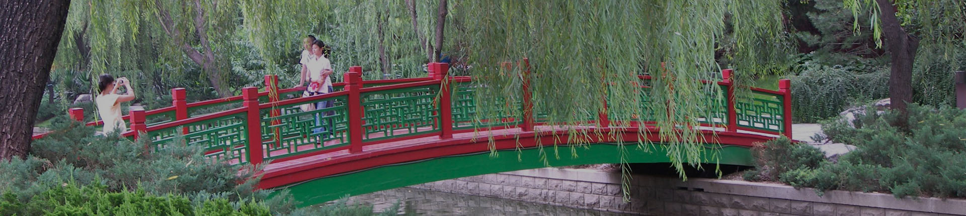 How do I lower my risk on business with China?